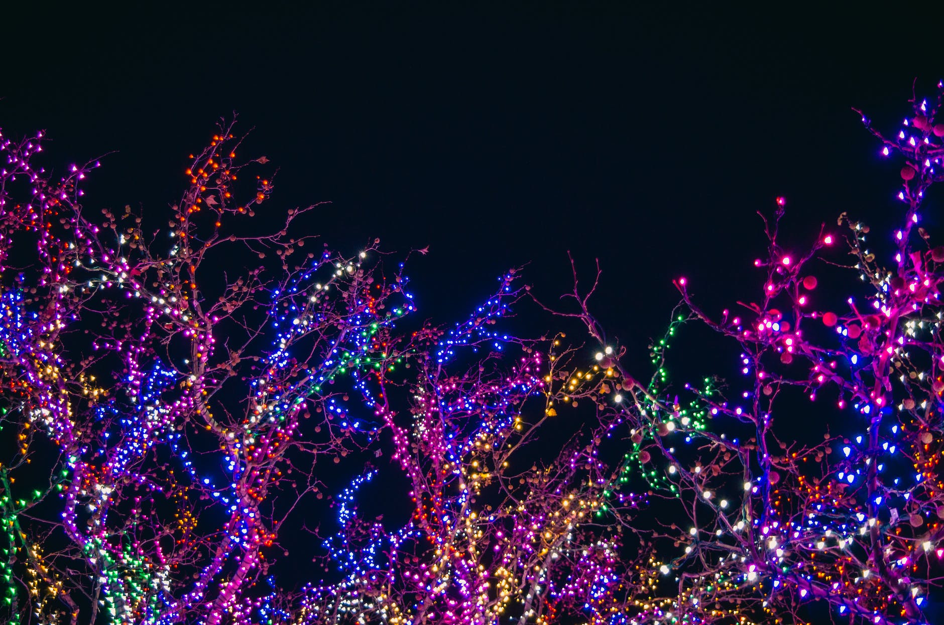 assorted color string lights