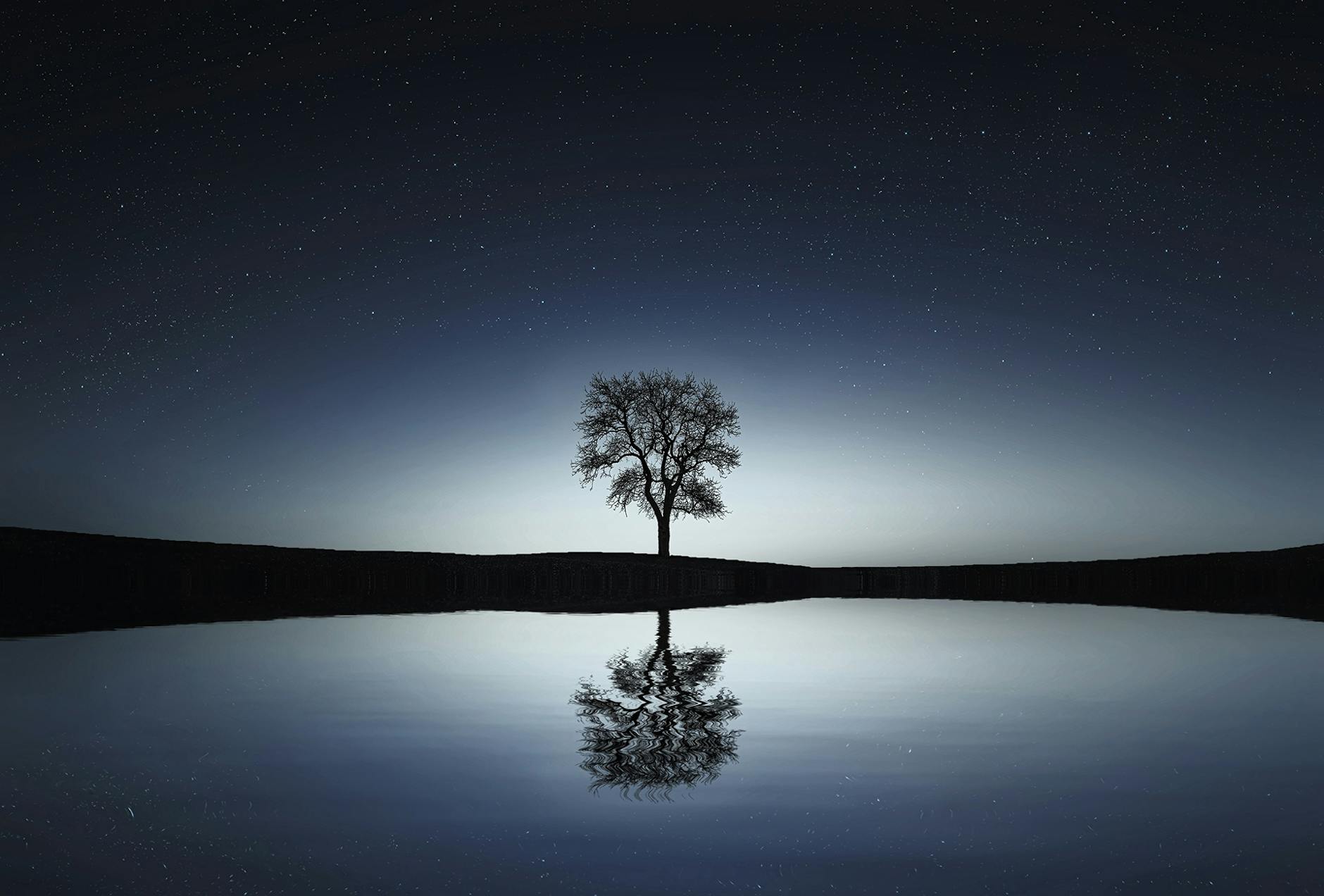The Purpose of Pain: A Journey Through Divorce
